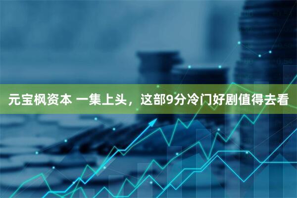 元宝枫资本 一集上头，这部9分冷门好剧值得去看