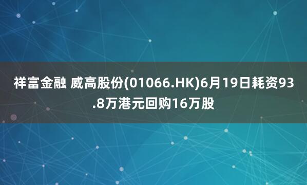 祥富金融 威高股份(01066.HK)6月19日耗资93.8万港元回购16万股