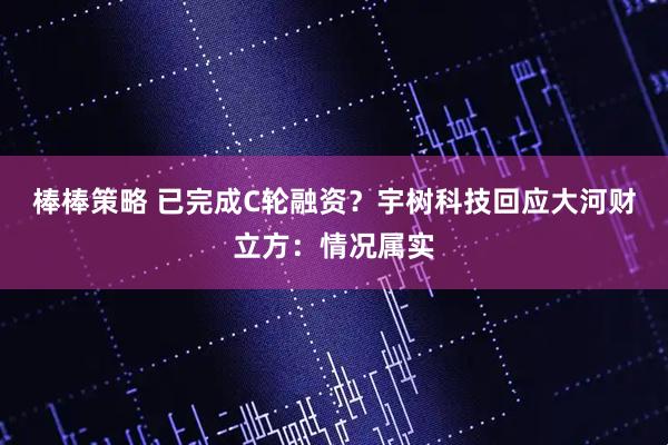 棒棒策略 已完成C轮融资？宇树科技回应大河财立方：情况属实