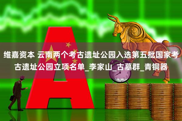 维嘉资本 云南两个考古遗址公园入选第五批国家考古遗址公园立项名单_李家山_古墓群_青铜器
