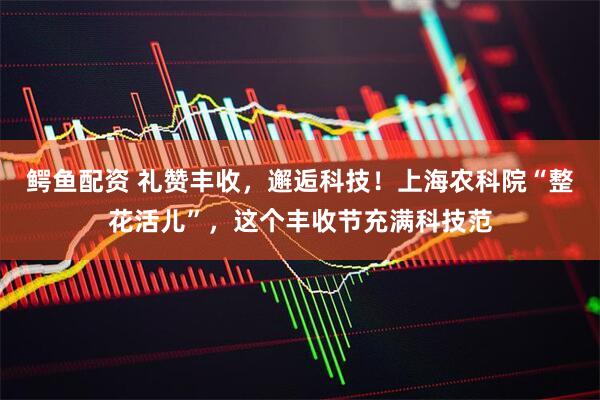 鳄鱼配资 礼赞丰收，邂逅科技！上海农科院“整花活儿”，这个丰收节充满科技范