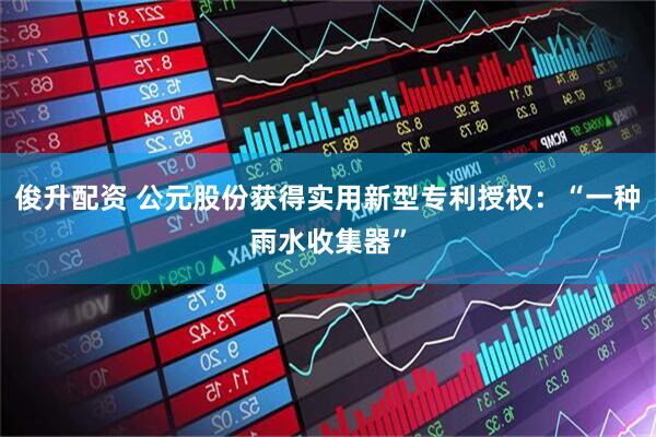 俊升配资 公元股份获得实用新型专利授权：“一种雨水收集器”