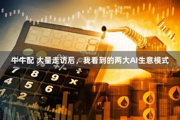 牛牛配 大量走访后,我看到的两大AI生意模式
