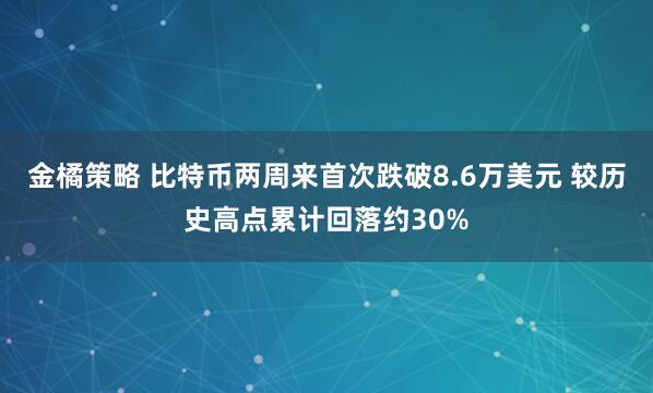 金橘策略 比特币两周来首次跌破8.6万美元 较历史高点累计回落约30%