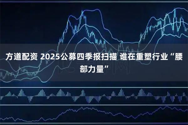方道配资 2025公募四季报扫描 谁在重塑行业“腰部力量”